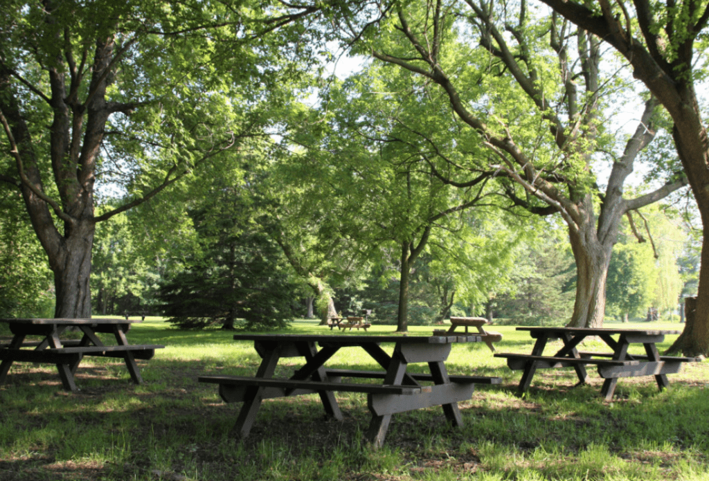 WA Tylor conservation area