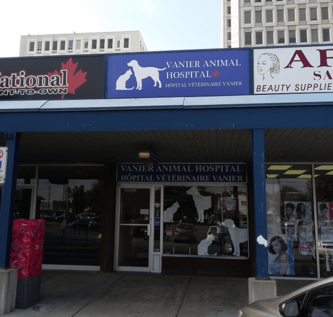 Vanier animal hospital