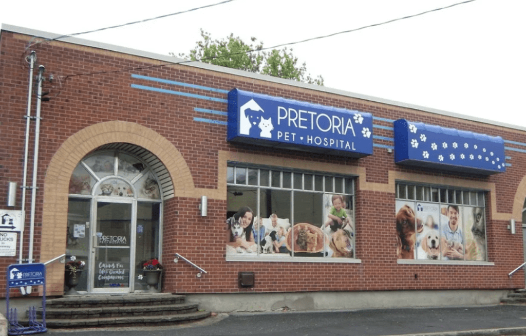 pretoria pet hospital