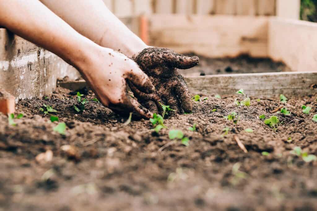 Homesteading in Ontario