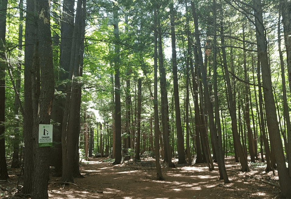 Gillies Grove and House National Historic Site Canada