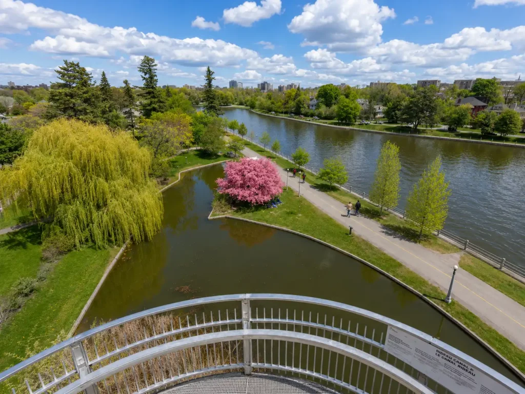 The Glebe Amenities, parks, and recreation
